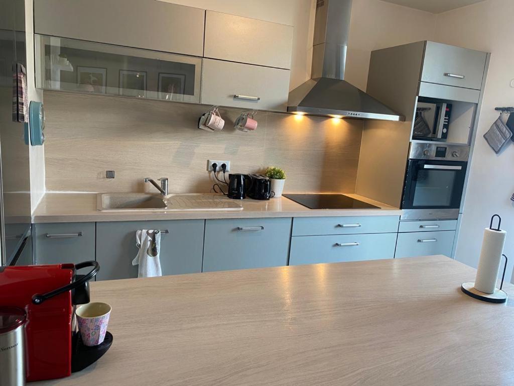 Appartement 80M2, Terrasse Sud, Metro 7 Direction Louvre A 8Minutes, Parking Sous-Sol, Proche Paris-Bercy Ivry-sur-Seine Exterior foto